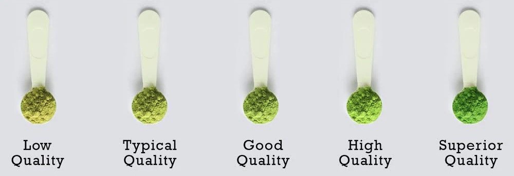 phân loại matcha phan-loai-matcha